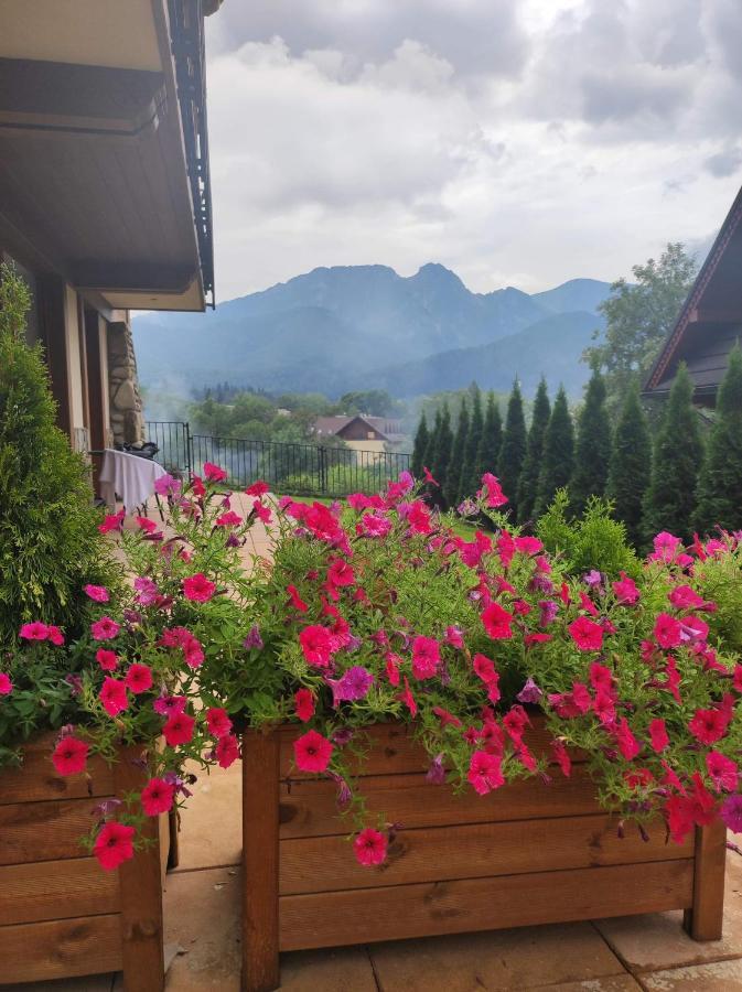 Harnasiowa Izba Ski - Polana Szymoszkowa Ski Resort Zakopane Exteriér fotografie